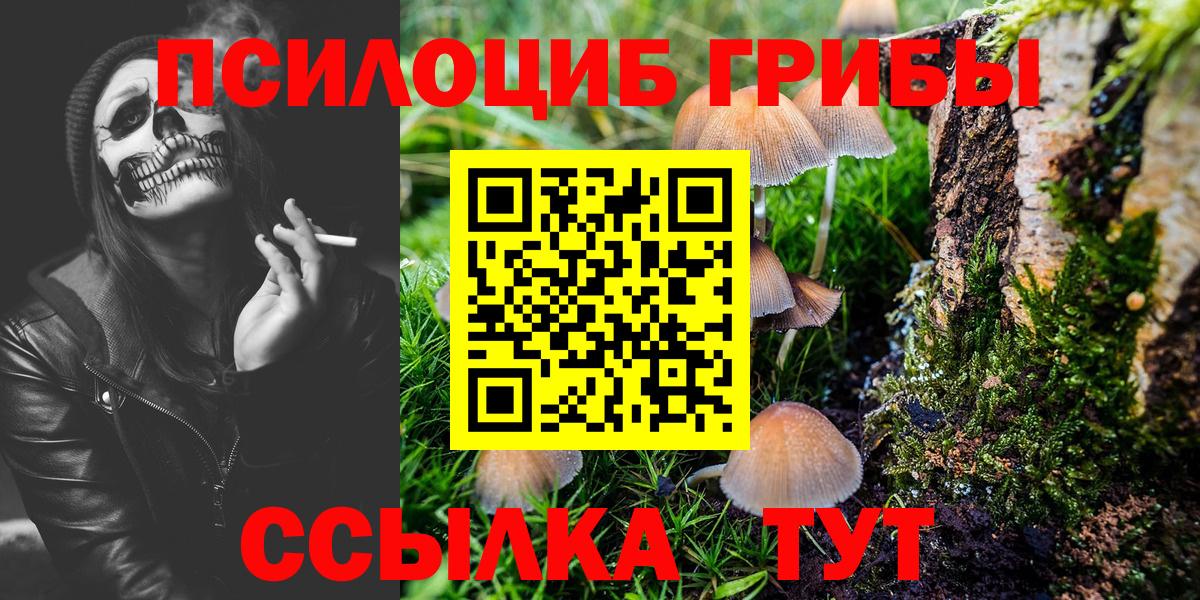 Галлюциногенные грибы Magic Shrooms  Псилоцибиновые грибы прущие грибы  Мегион  Вход с VPN 