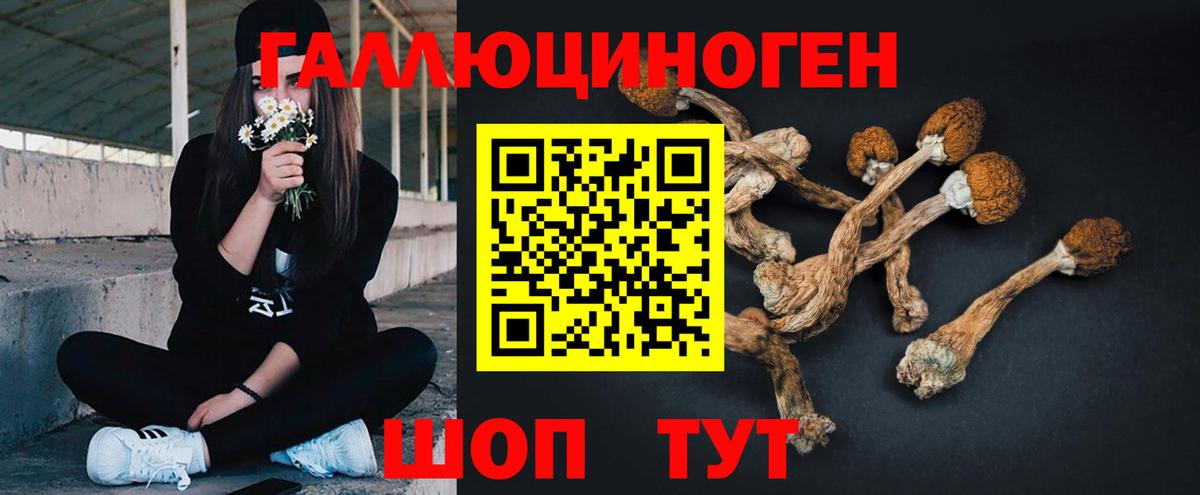Галлюциногенные грибы Cubensis Мегион